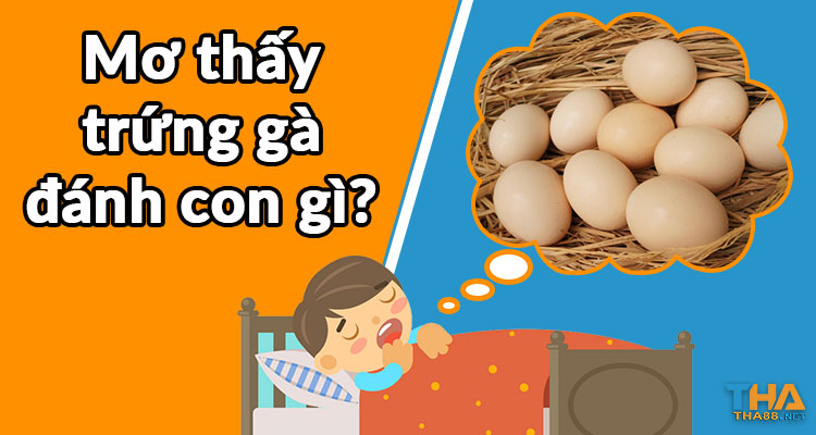 mơ thấy trứng gà đánh đề con gì