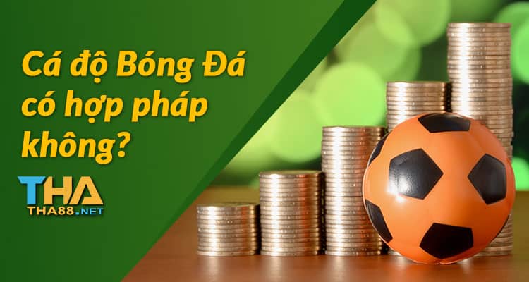 cá độ bóng đá hợp pháp không