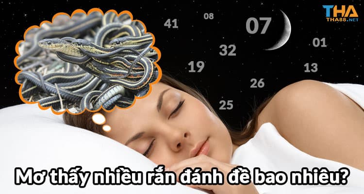 Mơ thấy nhiều rắn đánh đề bao nhiêu?