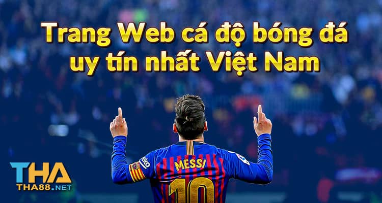 trang web cá độ bóng đá uy tín nhất hiện nay