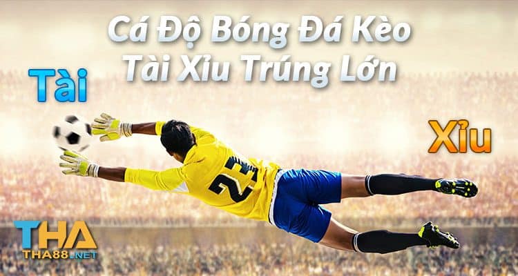 cá độ bóng đá kèo tài xỉu